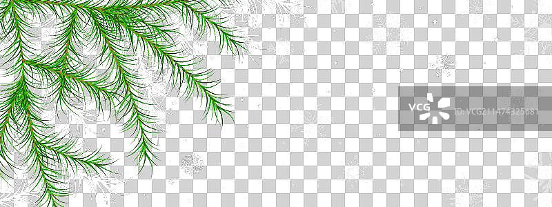 含杉木的圣诞节冬季节日贺卡图片素材