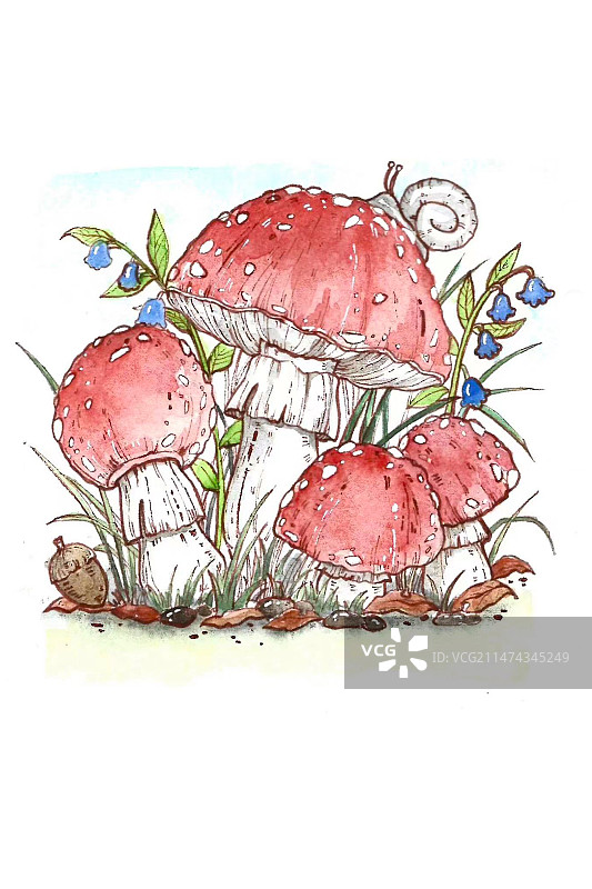 钢笔淡彩治愈系插画—蘑菇图片素材