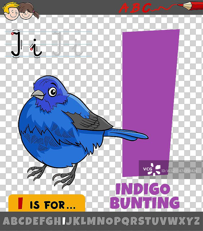 卡通字母i和靛蓝彩雀图案图片素材