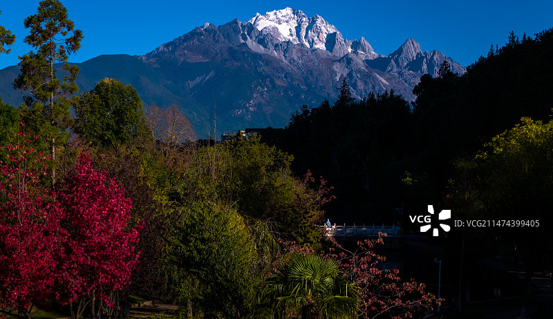 丽江黑龙潭公园远眺玉龙雪山图片素材