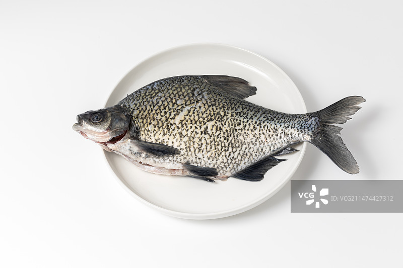 一条放在盘子中的扁鱼图片素材