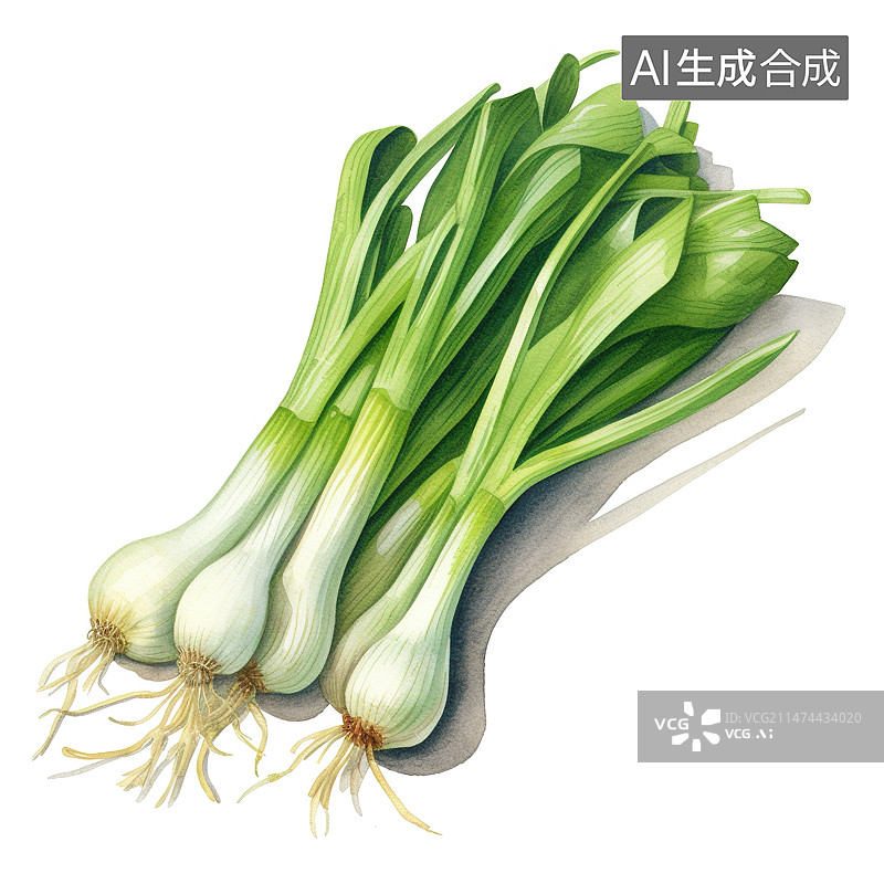 【AI数字艺术】蒜苗大葱水彩插画图片素材