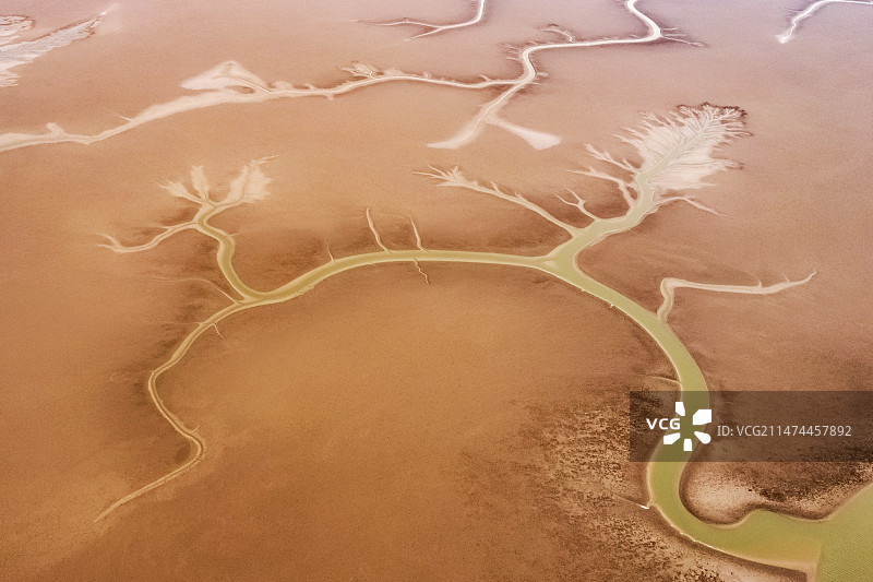 航拍山东东营黄河入海口滩涂日出潮汐树图片素材