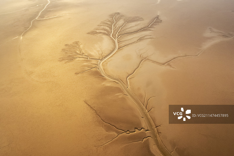 航拍山东东营黄河入海口滩涂日出潮汐树图片素材