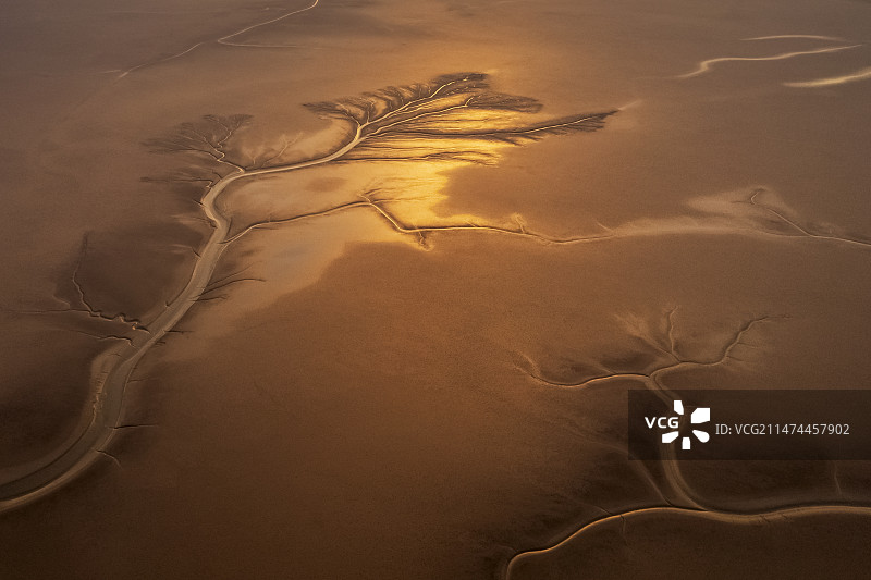 航拍山东东营黄河入海口滩涂日出潮汐树图片素材