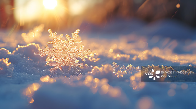 【AI数字艺术】雪地里立体雪花形状冰晶透明阳光照耀特写图片素材