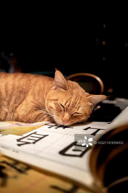 梦乡与墨香图片素材