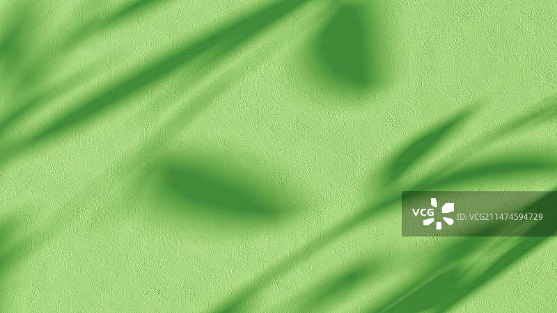 绿墙全帧拍摄图片素材