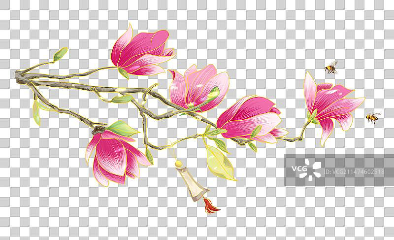古风祈愿玉兰花图片素材