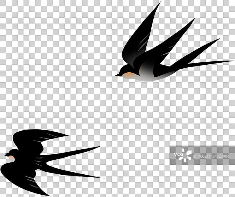 飞翔的燕子元素图片素材