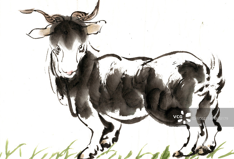 扭头的羊图片素材