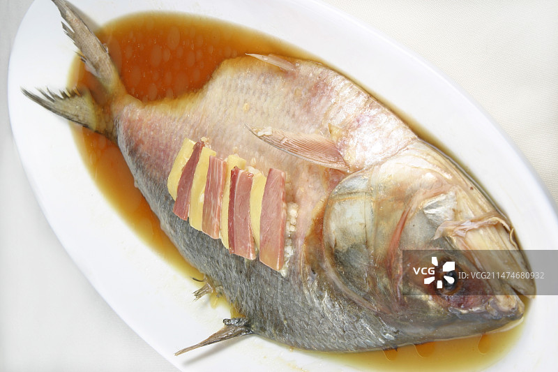 糟香蒸鲥鱼图片素材