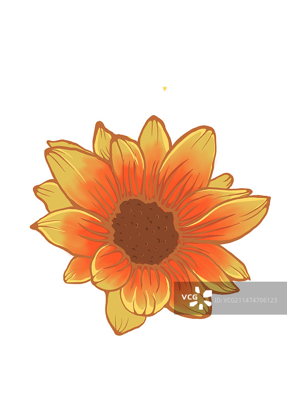 向日葵图片素材