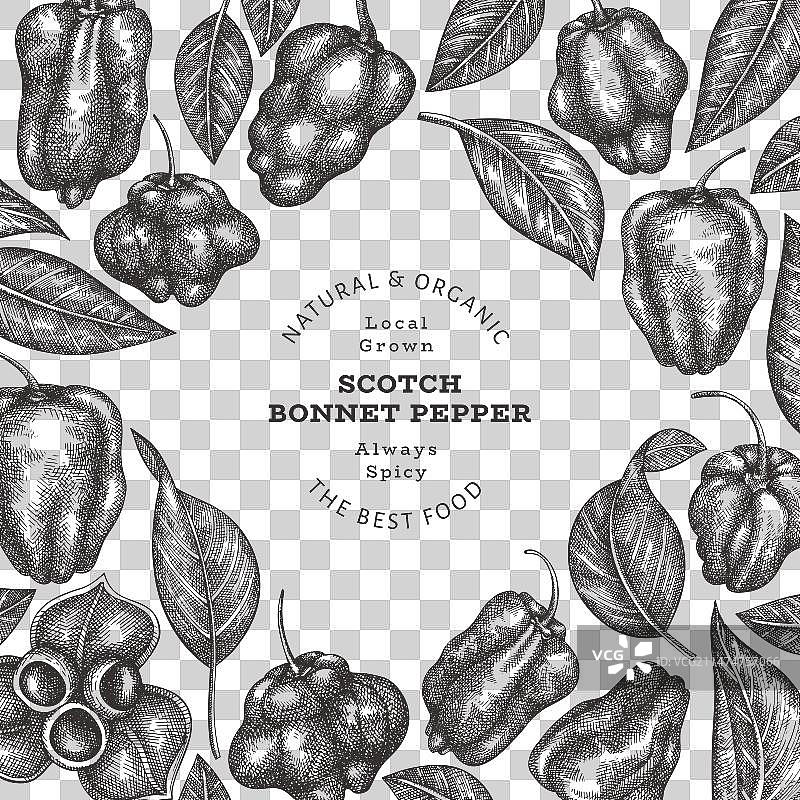 手绘苏格兰帽辣椒图片素材