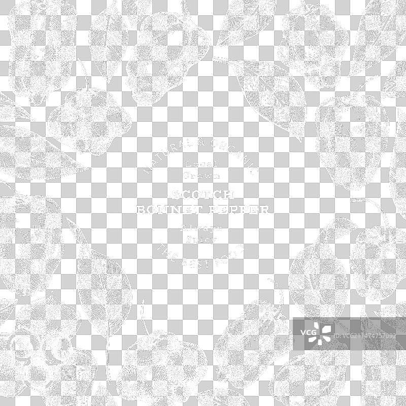 手绘苏格兰帽辣椒图片素材