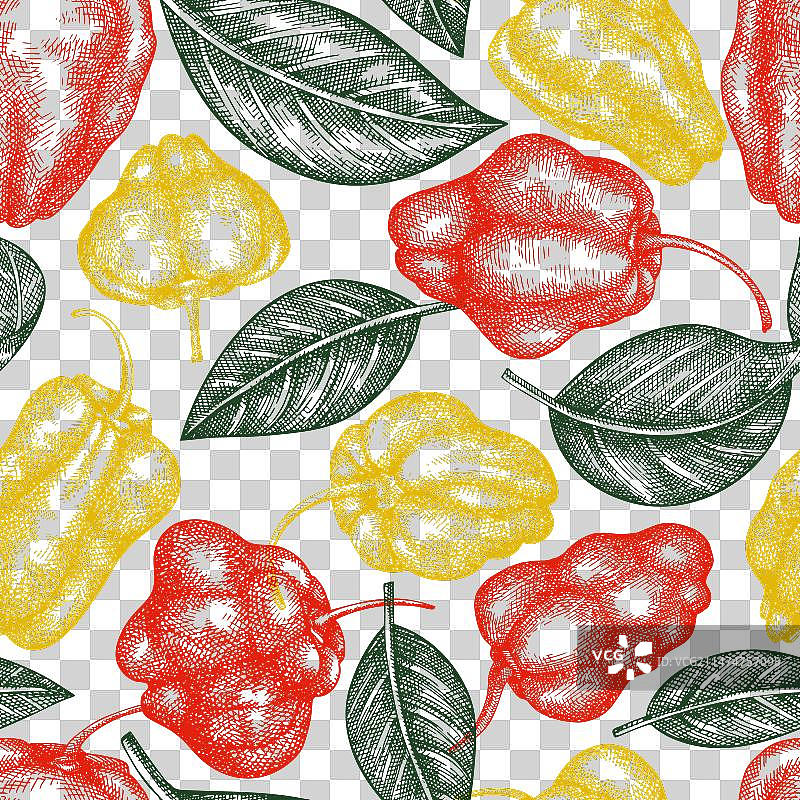 手绘苏格兰帽辣椒图片素材