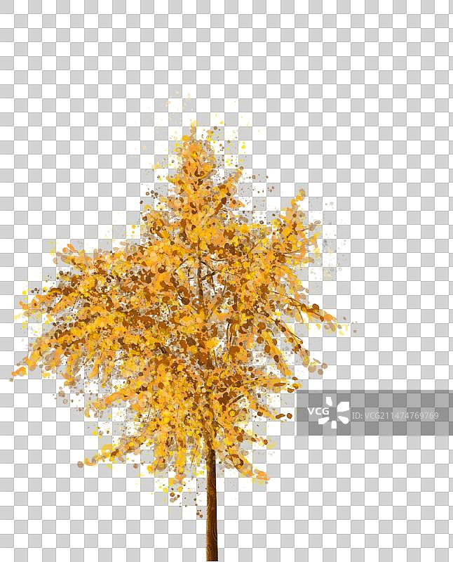 免抠素材银杏树特写镜头图片素材