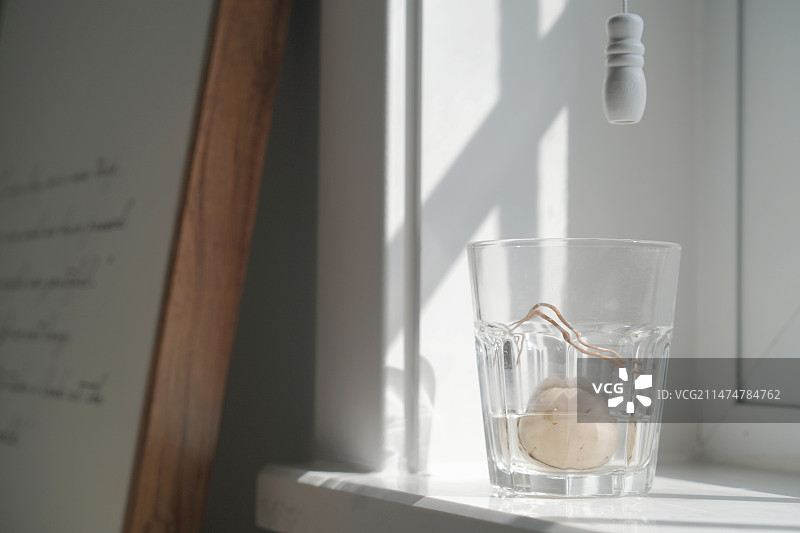 客餐厅一角图片素材