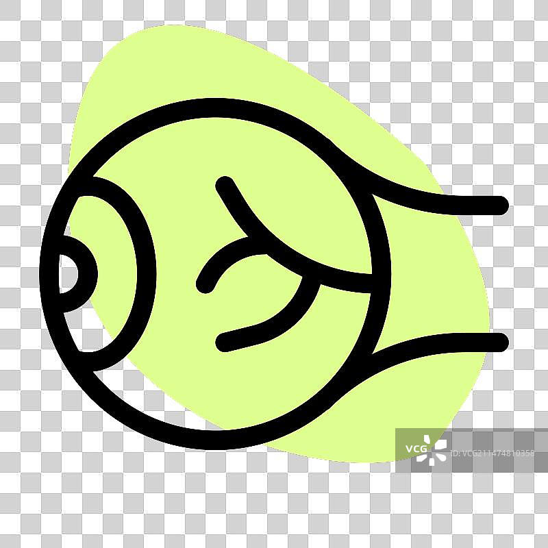 双侧球形器官眼球图片素材