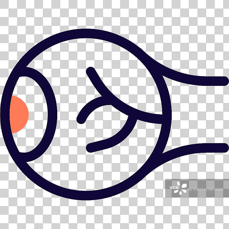 双侧球形器官眼球图片素材