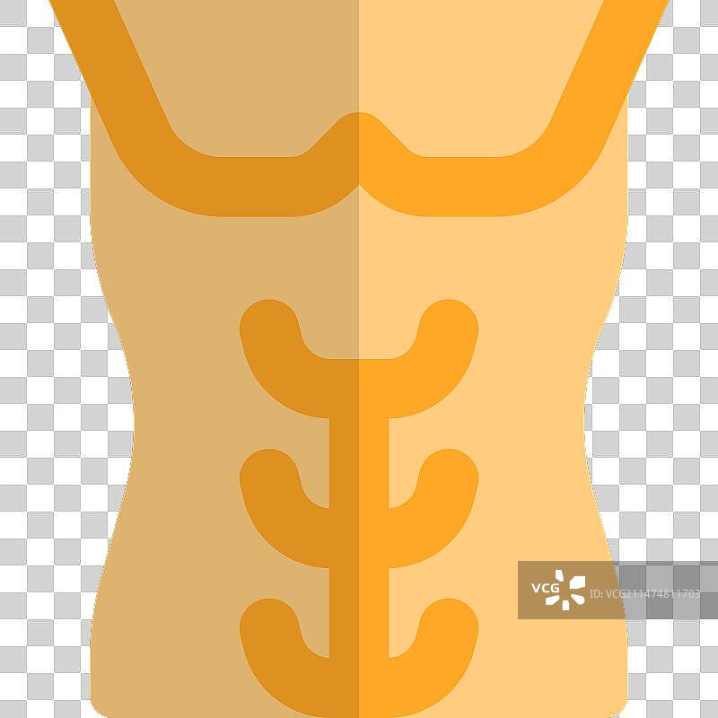 腹直肌图片素材