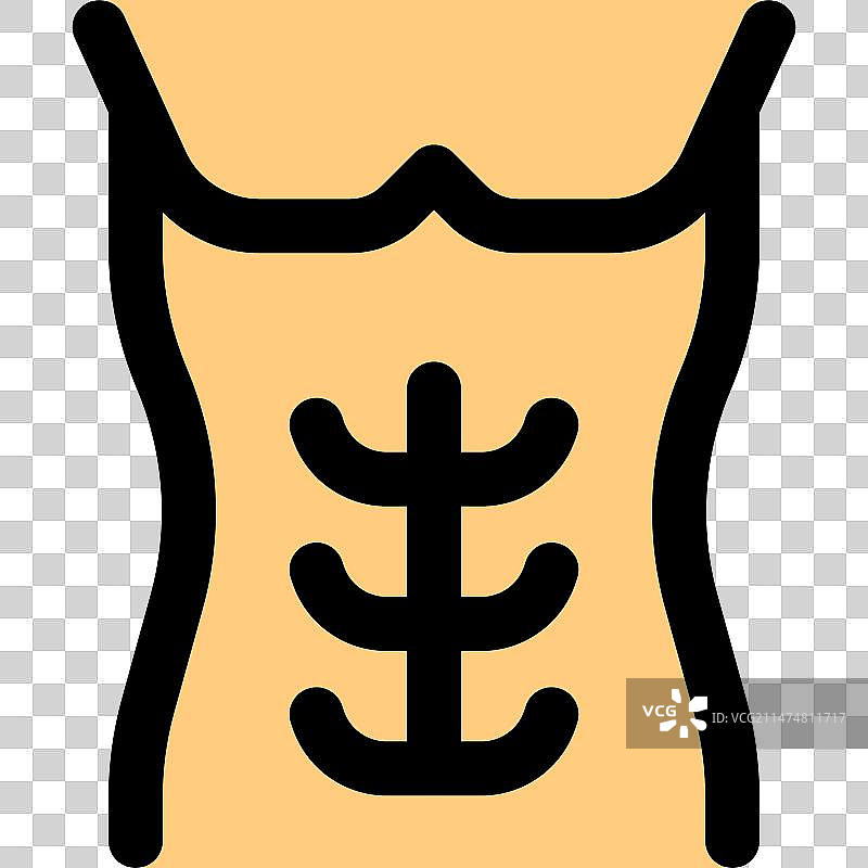 腹直肌图片素材