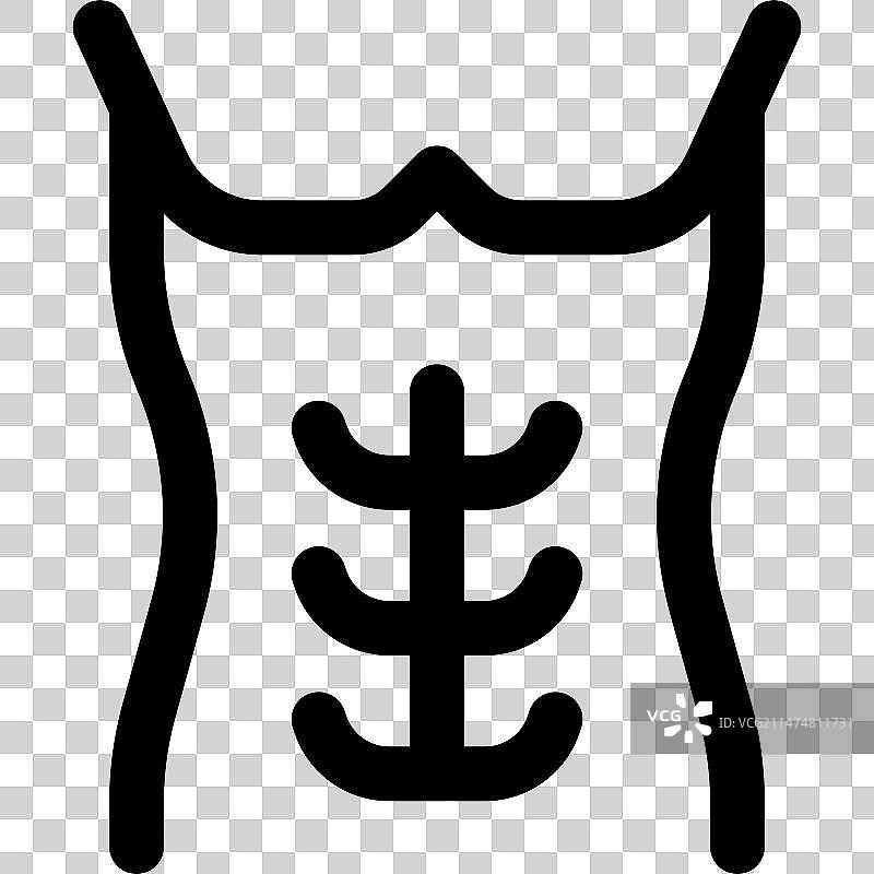 腹直肌图片素材