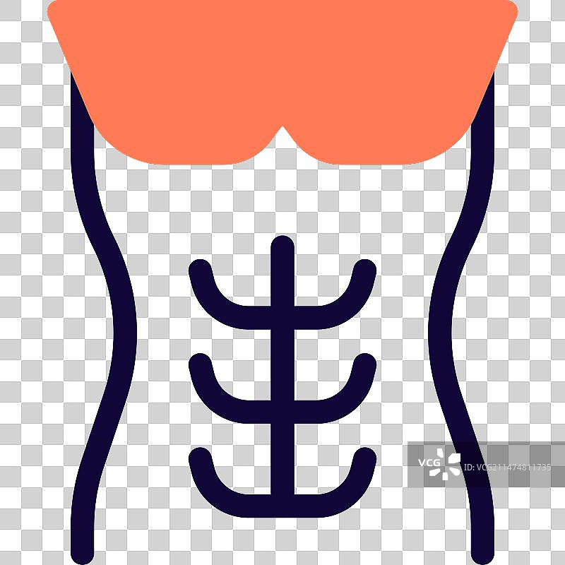 腹直肌图片素材