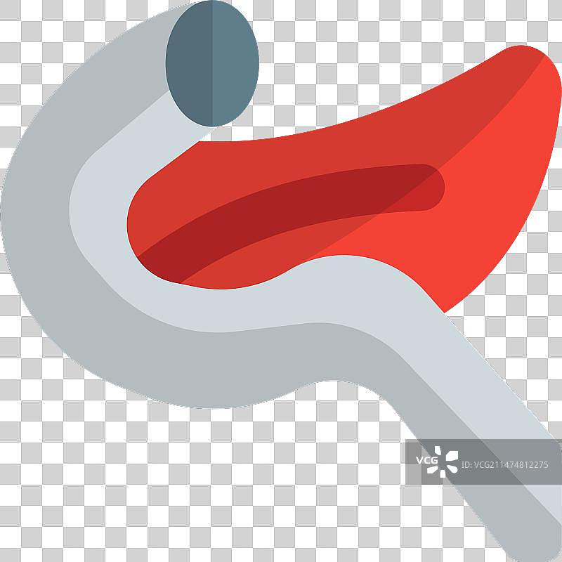 胰腺是位于腹部的器官图片素材