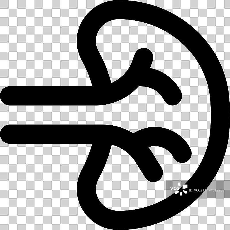 脾脏在身体中发挥多种支持作用图片素材