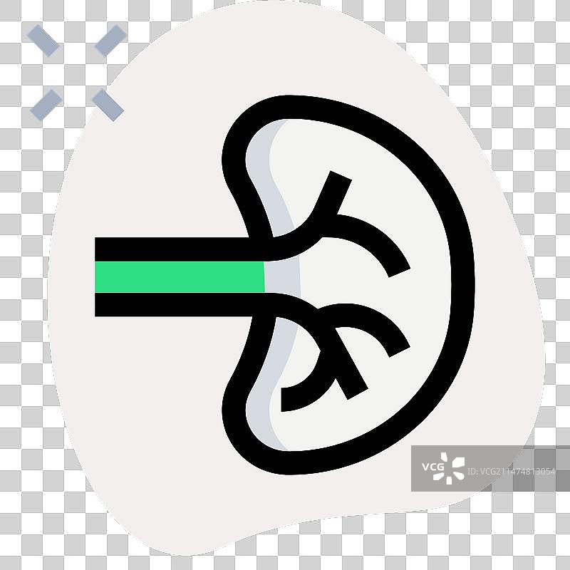 脾脏在身体中发挥多种支持作用图片素材