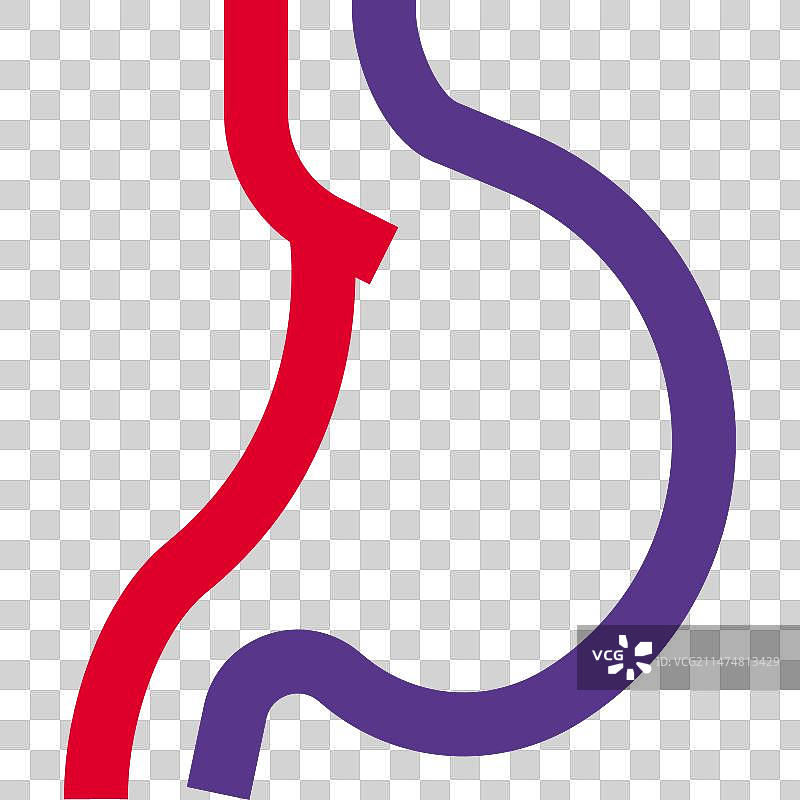 胃接收来自食道的食物图片素材