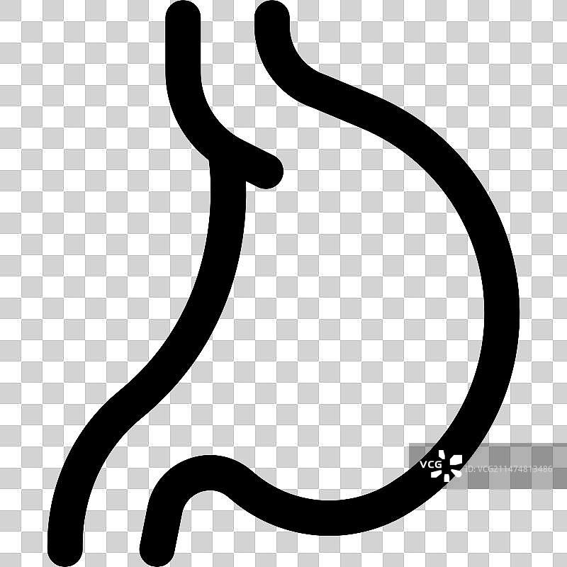 胃接收来自食道的食物图片素材