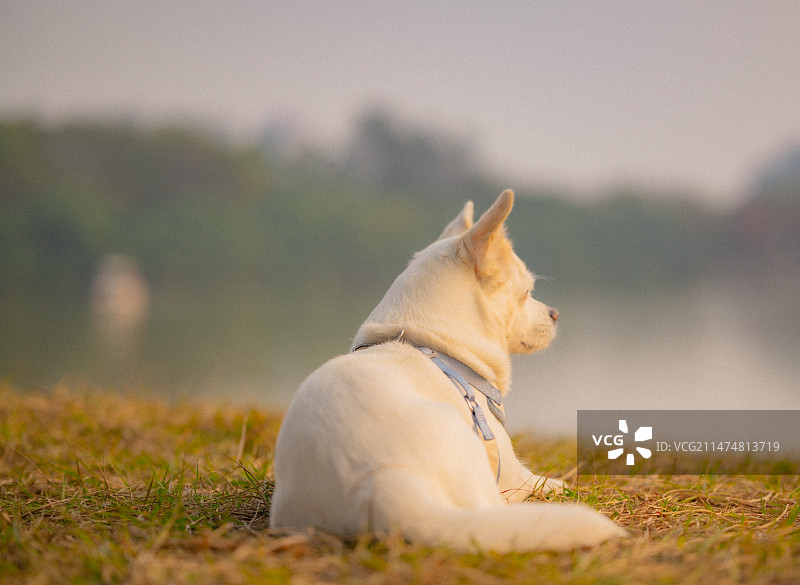 广州市大夫山森林公园图片素材