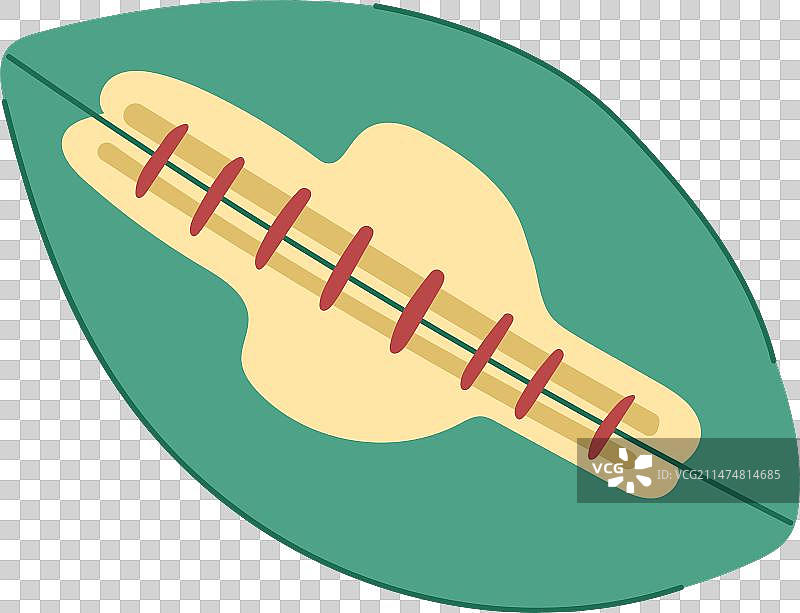 美式橄榄球卡通图片素材