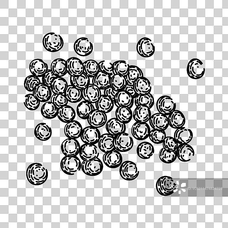 手绘的干燥小扁豆速写图片素材