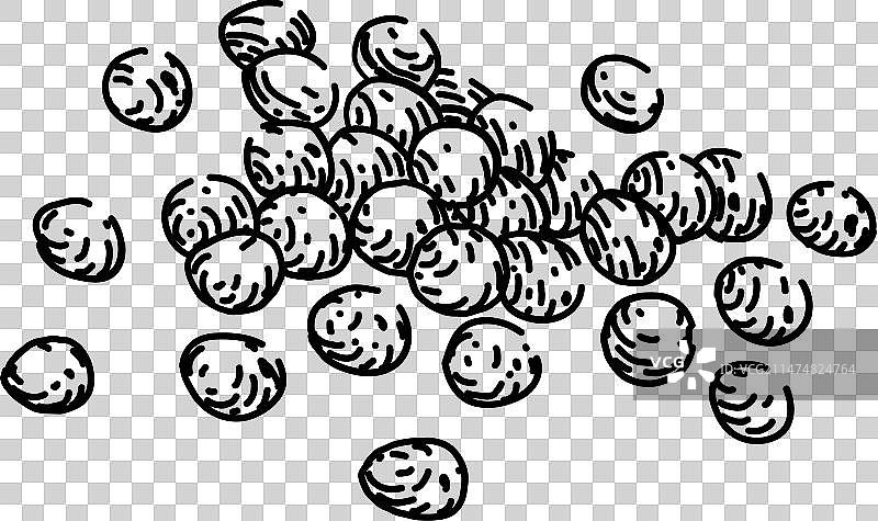 手绘健康小米草图图片素材