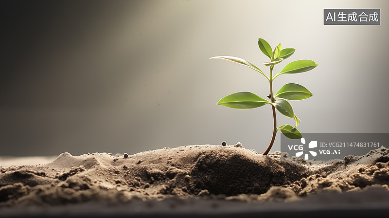 【AI数字艺术】春天嫩枝细芽图片素材