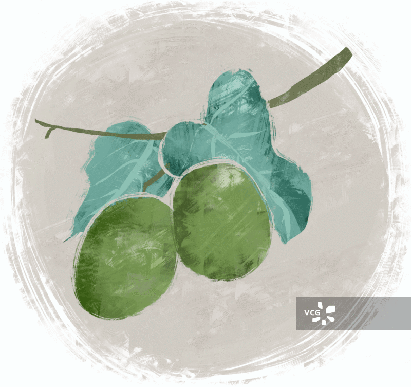 罗汉果插画GIF动图图片素材