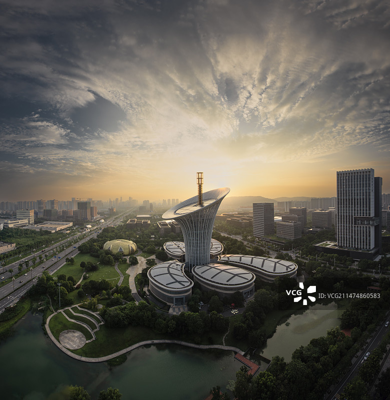 中国湖北武汉光谷未来科技城马蹄莲图片素材