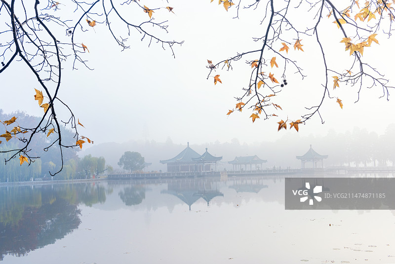 中国湖北武汉东湖碧潭观鱼风景区图片素材