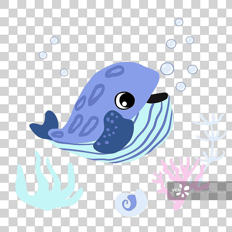 可爱的鳁鲸与气泡贝壳图片素材