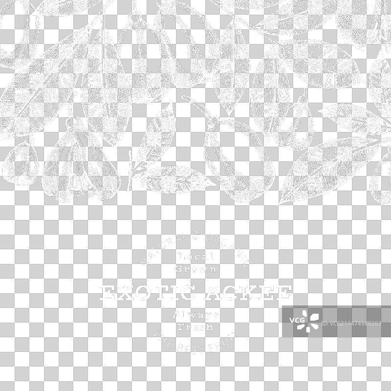 手绘风格阿基果banner图片素材