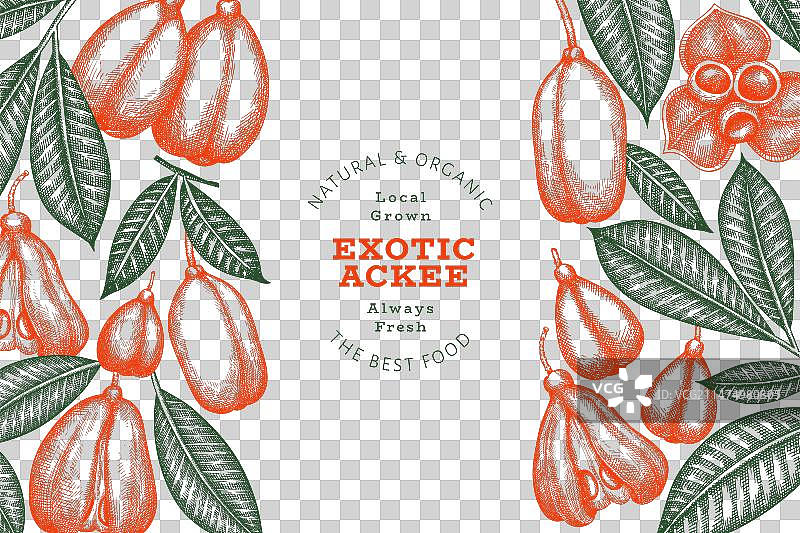 手绘风格阿基果banner图片素材