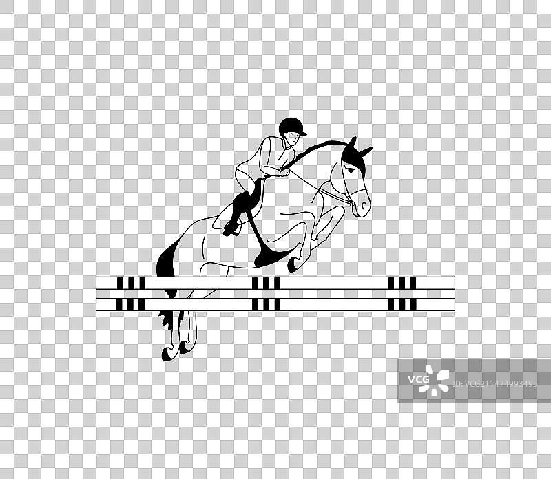 马术运动员和马匹比赛中图片素材