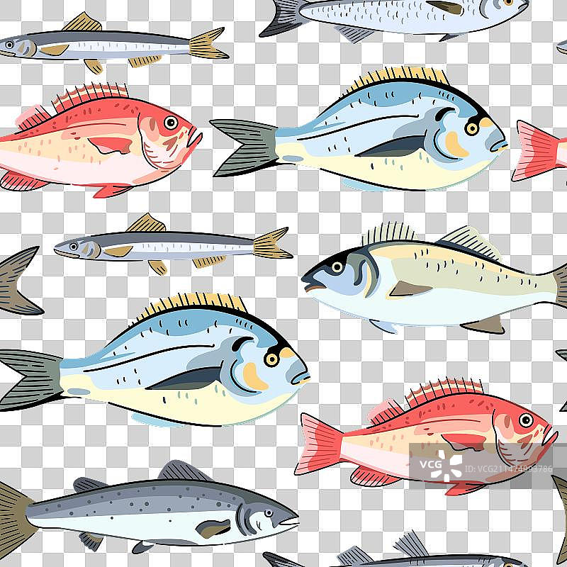 商业海鲜鱼类无缝图案图片素材