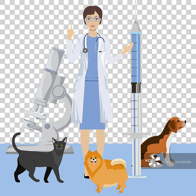 宠物兽医检查图片素材