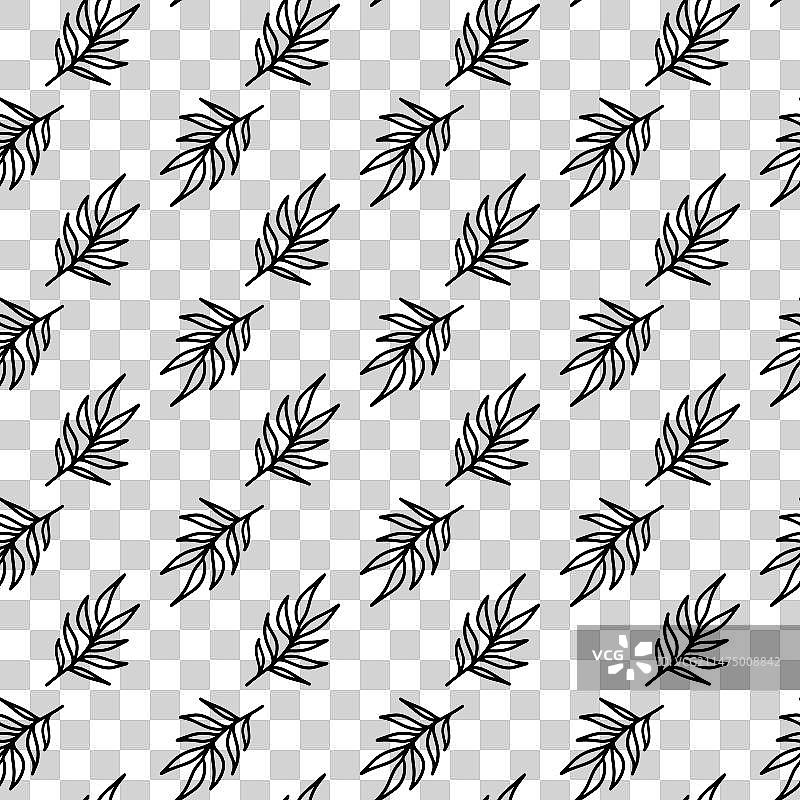 手绘热带椰子叶图片素材