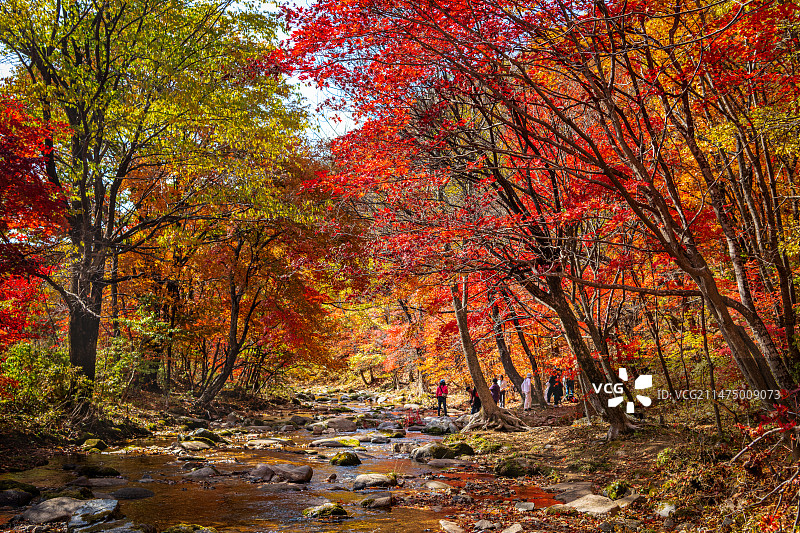本溪秋色图片素材