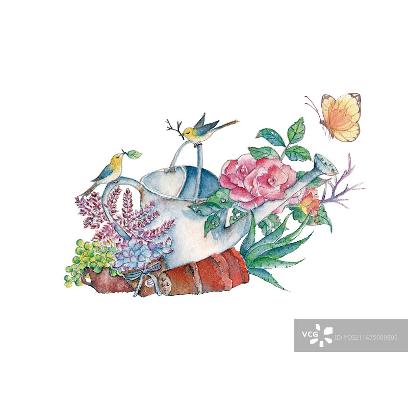白色背景上的水彩手绘园艺洒水壶和鲜花花朵特写镜头图片素材